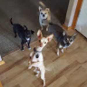 Meet your Posher, Dayna